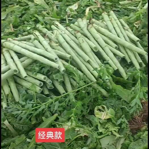 简阳市三青莴笋