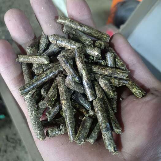 叶县花生秧熟化颗粒，适口性好，易消化，是牛羊驴马兔及驼鸟好饲料