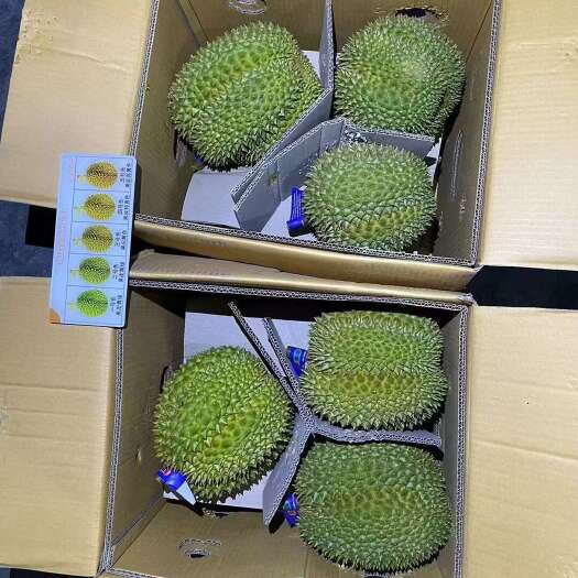 北京液氮金枕独立包装榴莲