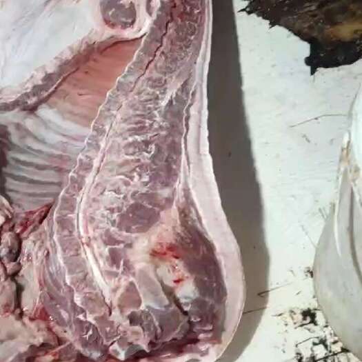 泸溪县泸溪县富农生猪养殖（鲜肉）