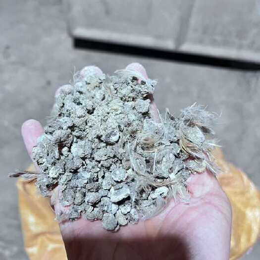 华安县鹌鹑粪