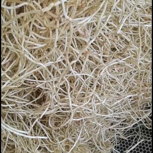 当阳市货源地 价格有优势