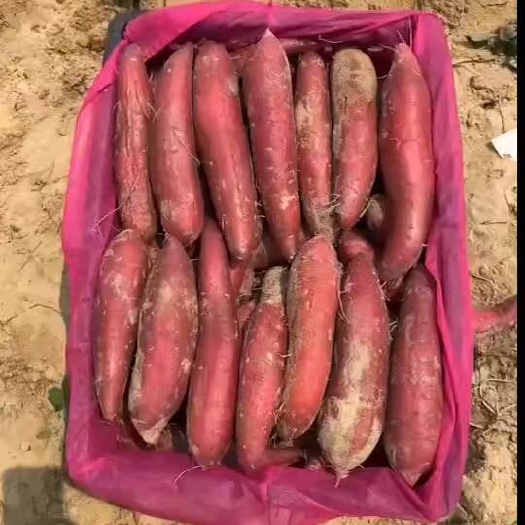 西瓜红