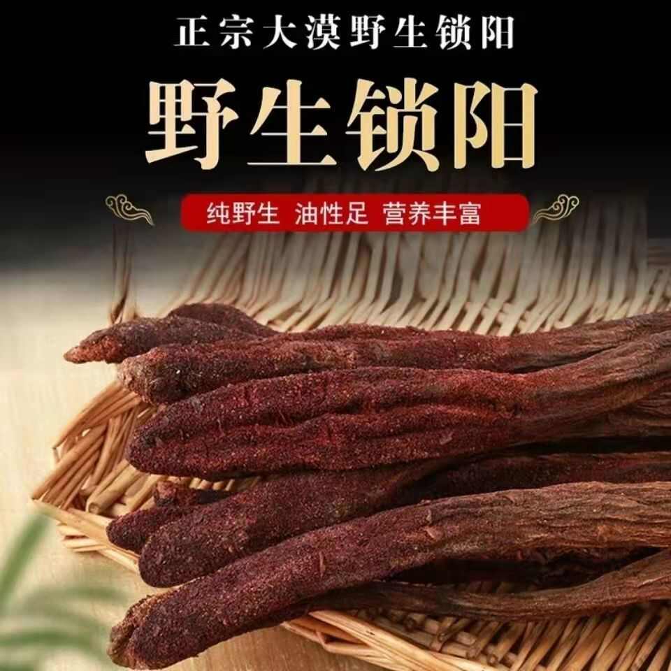 亳州尚康藥業(yè)