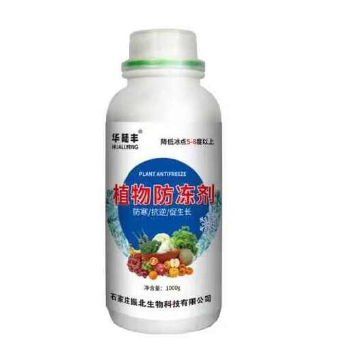 行唐县植物防冻剂植物防寒抗冻剂植物抗冻液