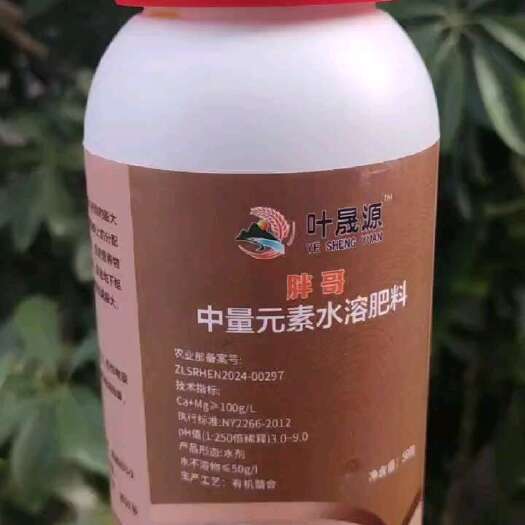 扶沟县胖哥