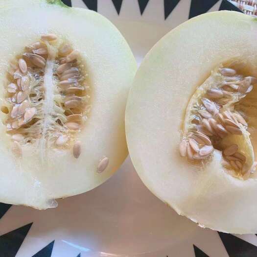 西安力荐陕西阎良甜瓜，现摘现发，