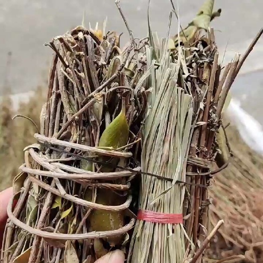 龙南市香藤，艾草，香茅，勾藤，春根藤