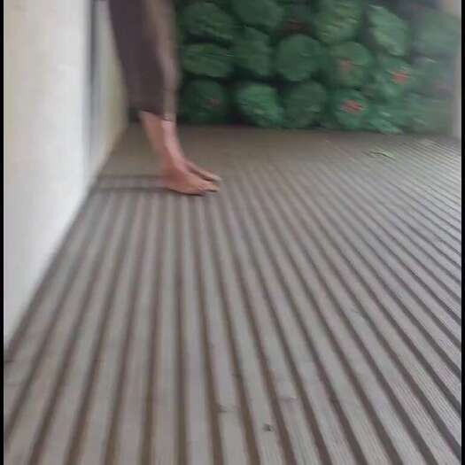 简阳市三青莴笋