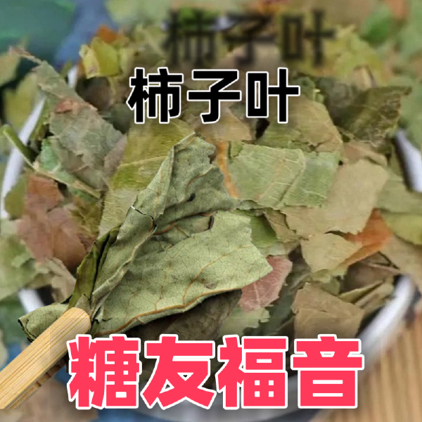 中药材新货柿子霜后叶非新鲜柿叶整张叶柿子叶茶柿子叶袋泡茶柿叶