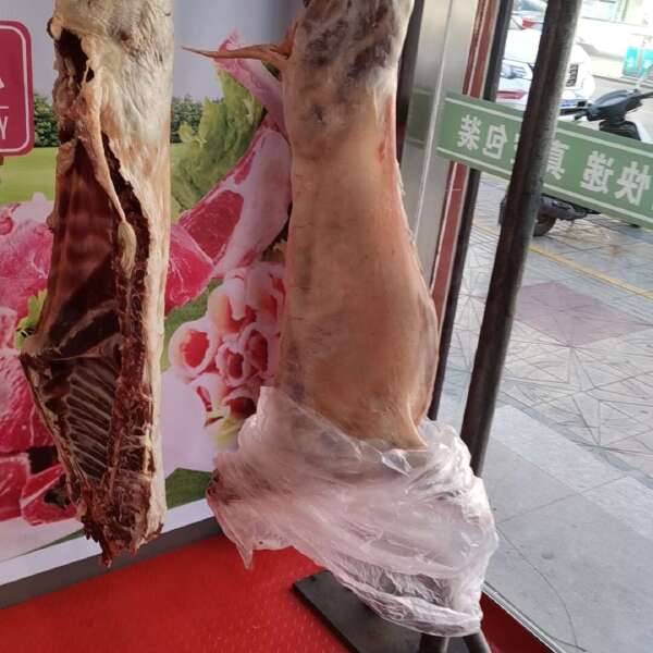 羊肉