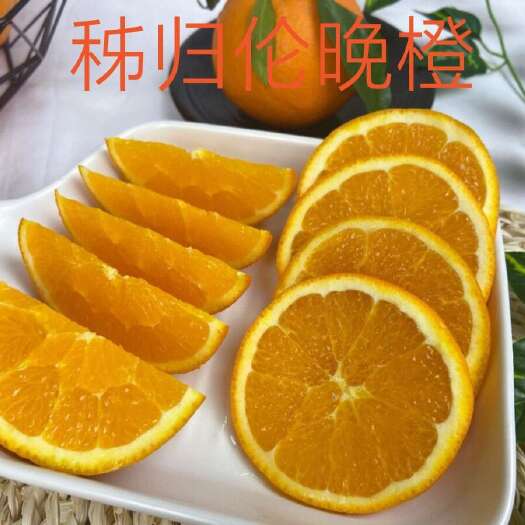 秭归县秭归伦晚橙脐橙橙子春橙新鲜水果 5-9斤包邮支持代发