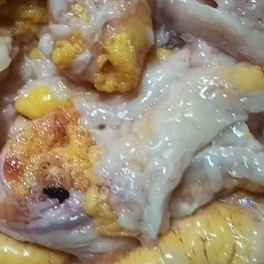 晋江市黑鱼籽