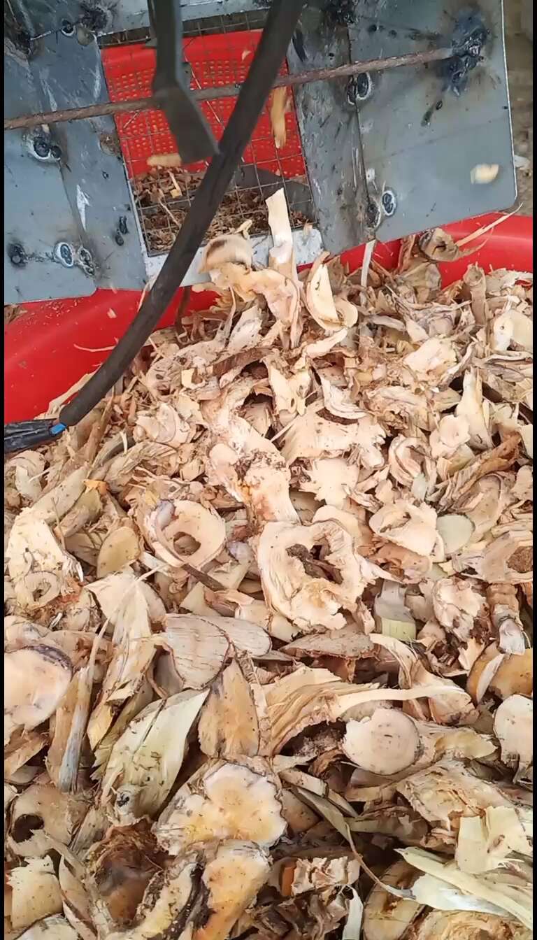 牡丹根 广西牡丹根中药材