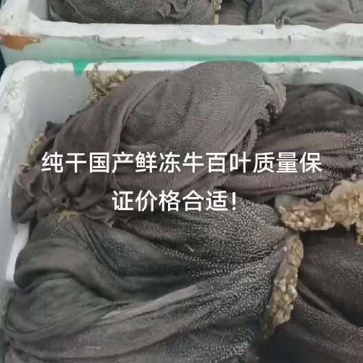 阳信县纯干牛百叶，精修去油，大量批发一手货源