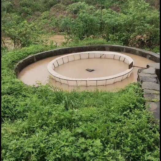 祁东县四大家鱼水花。