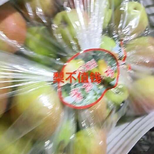 赵县红香酥梨，便宜便宜便宜
