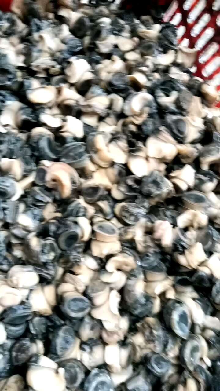 手工田螺肉
