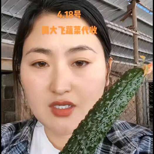 莘县黄瓜