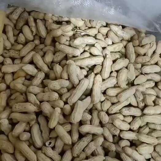 慈溪市四粒红花生，成色好，无坏米