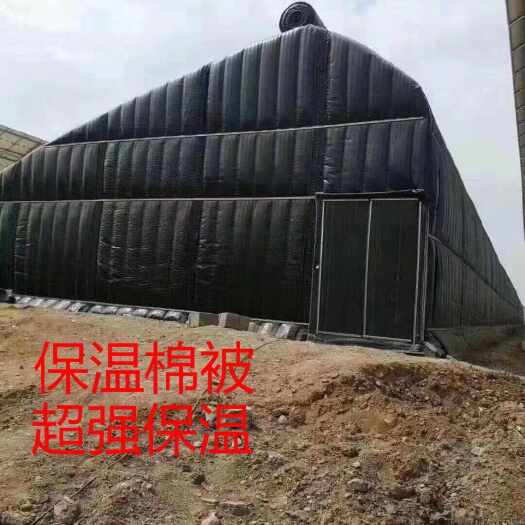 沭阳县种植大棚养殖大棚