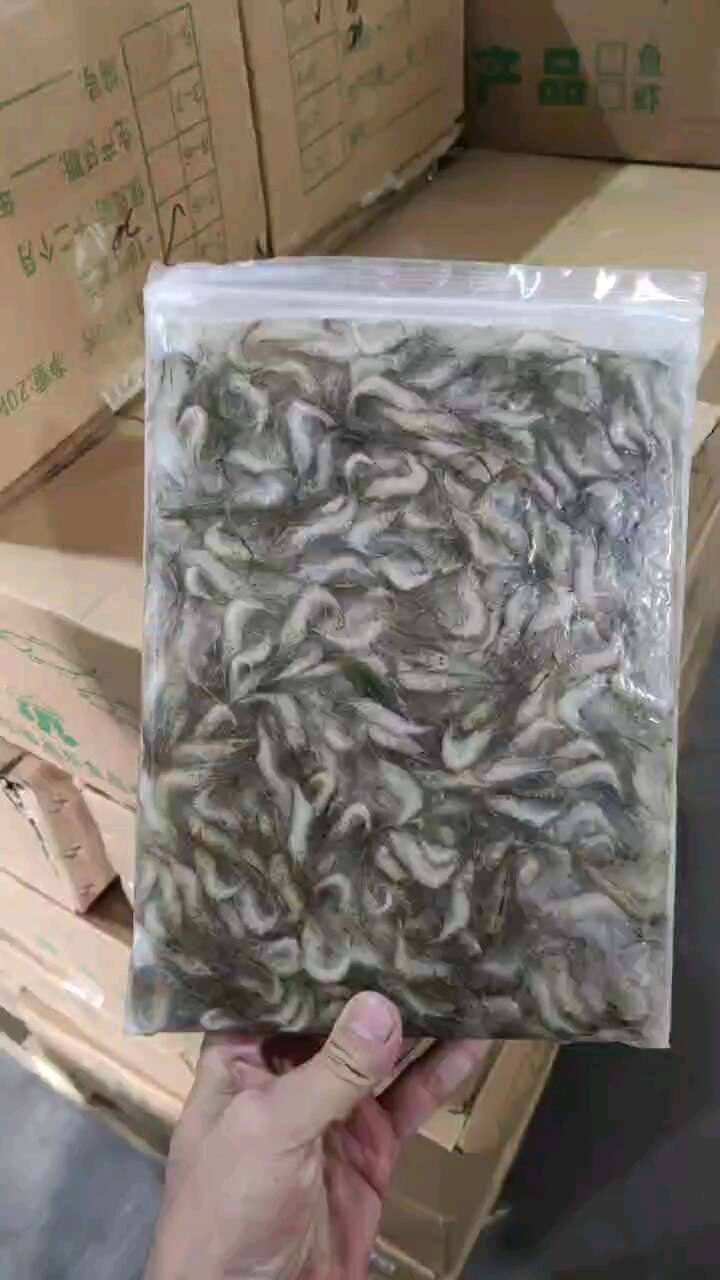 青虾 小河虾山坑虾新鲜速冻，一手货源批发，量大洽谈
