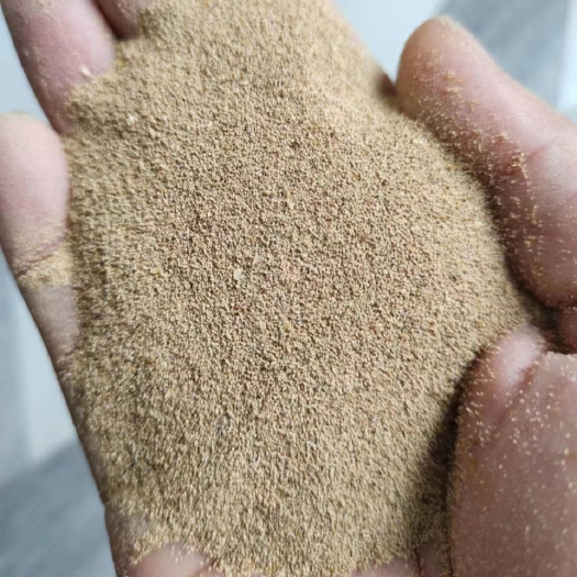 石家庄黄粉虫虫沙