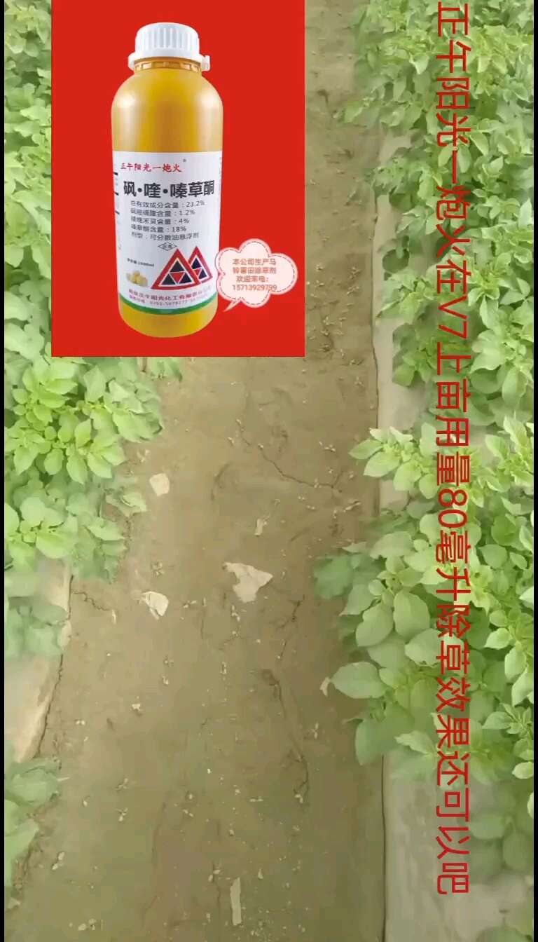 23.2%砜喹嗪草酮