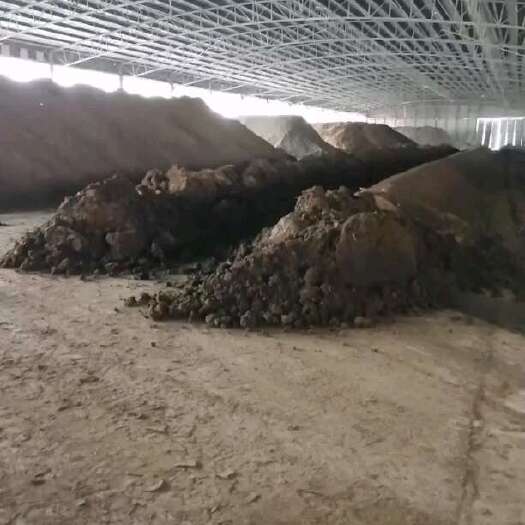 南宁大量供应优质牛粪