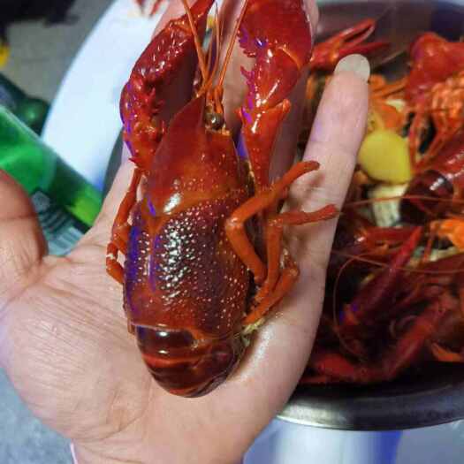 桐庐县桐庐建德，同城配送