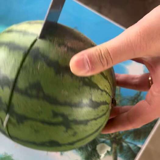 潍坊主产2K小糖丸西瓜，甜王，京欣保证质量保熟保甜全国代发