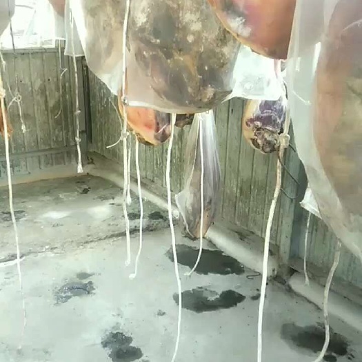 农村土猪火腿