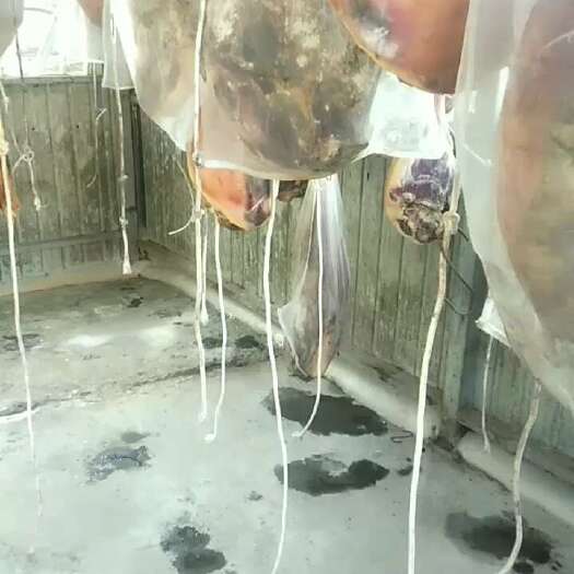 景东县农村土猪火腿
