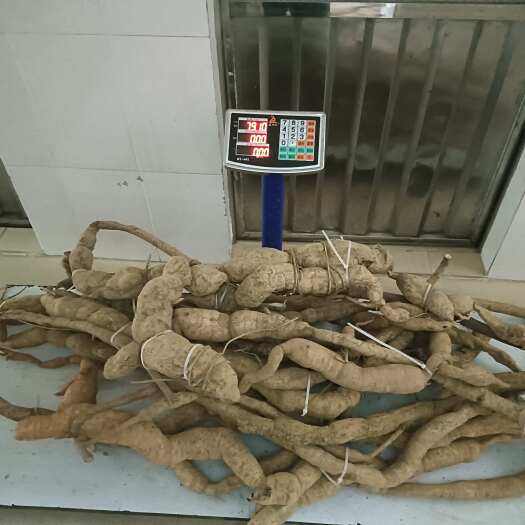 乐昌市百年精品鸡血藤。百年精品牛大力