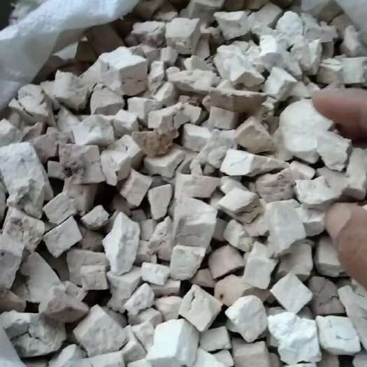 柳州茯苓