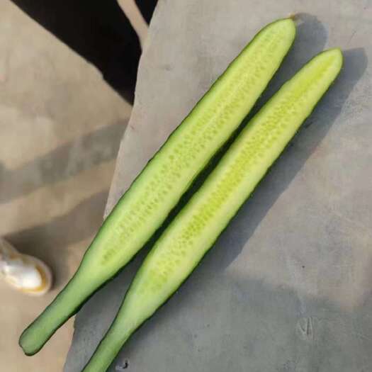 夏邑县精品货，毛毛钱斤，谁买谁合适