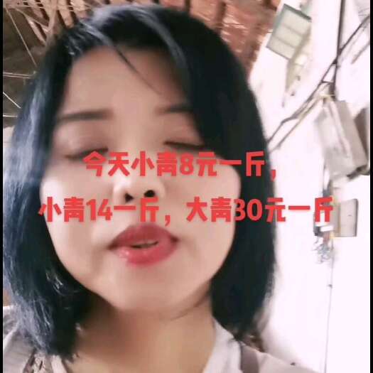 江陵县精品鲜活小龙虾，规格齐全，底板干净，一手货源，全国发货