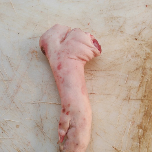 带筋鲜猪蹄价格便宜到位，屠宰场直营，