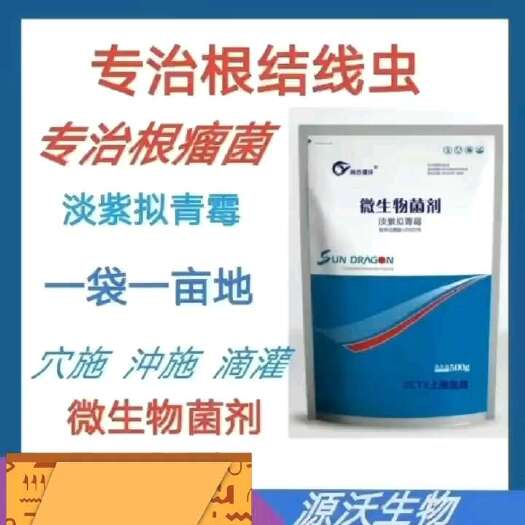 邯郸淡紫拟青霉