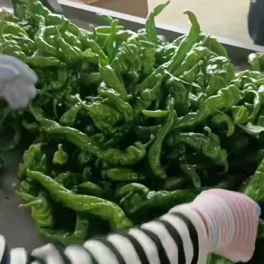 西安螺丝椒