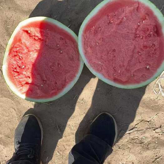 夏邑县夏邑产地美都西瓜大量上市熟度以达到，需要的抓紧联系，