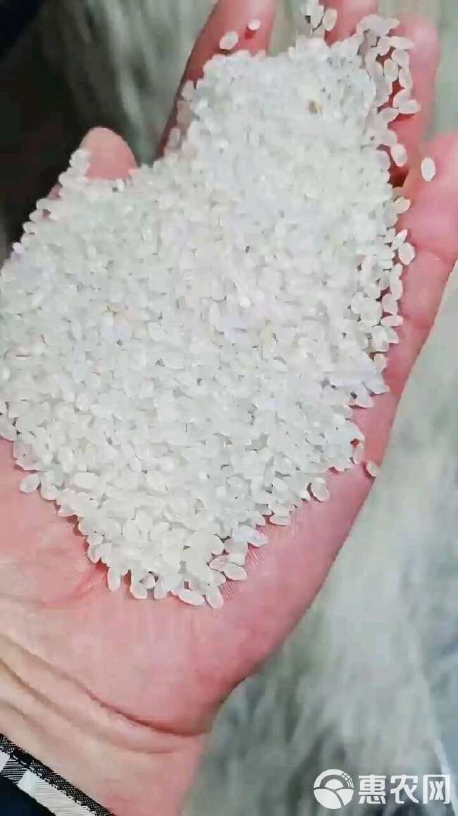 陈米珍珠米圆粒米