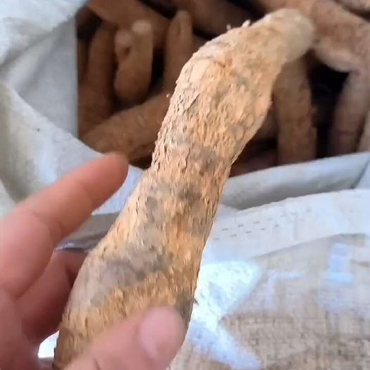 老大力  特靓老皮中圆牛