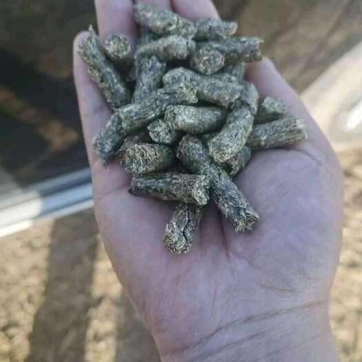 鄂温克旗苜蓿草饲料
