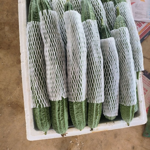 扶绥县丝瓜