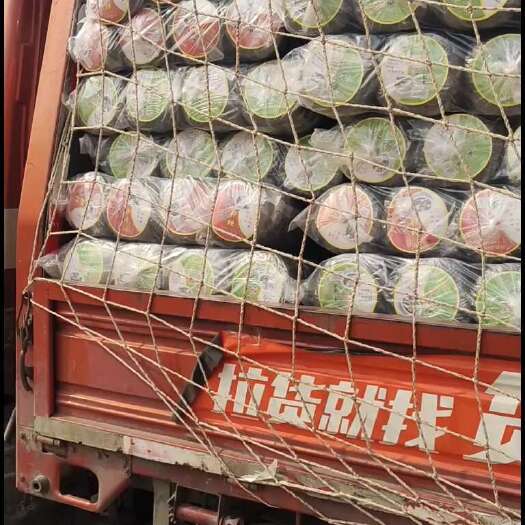 滕州市厂家直销各种价格各种规格紫菜