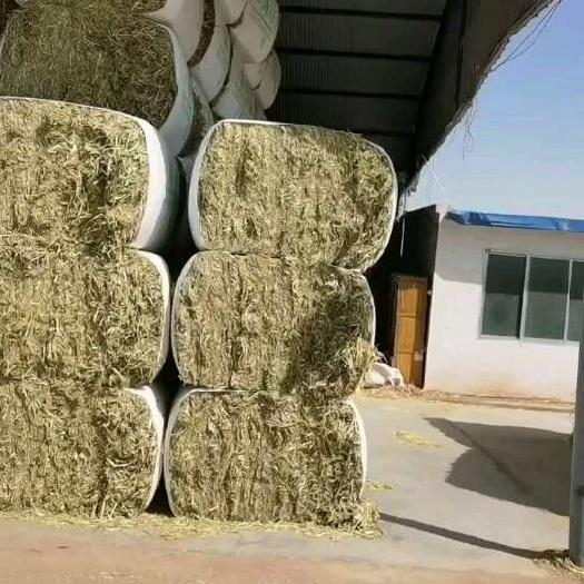 山丹县国产一级燕麦草