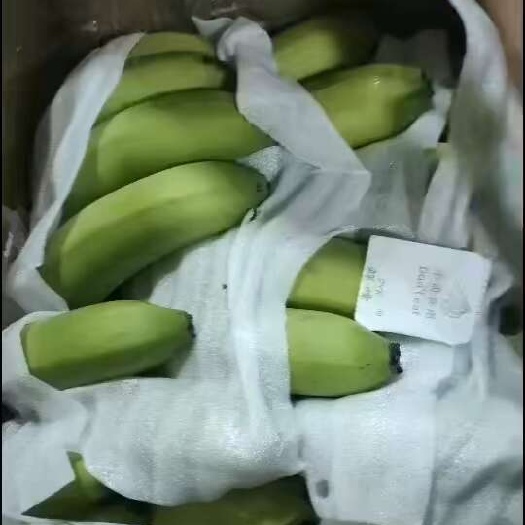 邯郸香蕉纯三把大量有货好货不贵十几一箱需要的老板可以联系我，