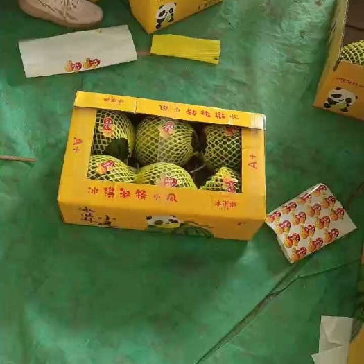 沭阳县特小凤西瓜批发