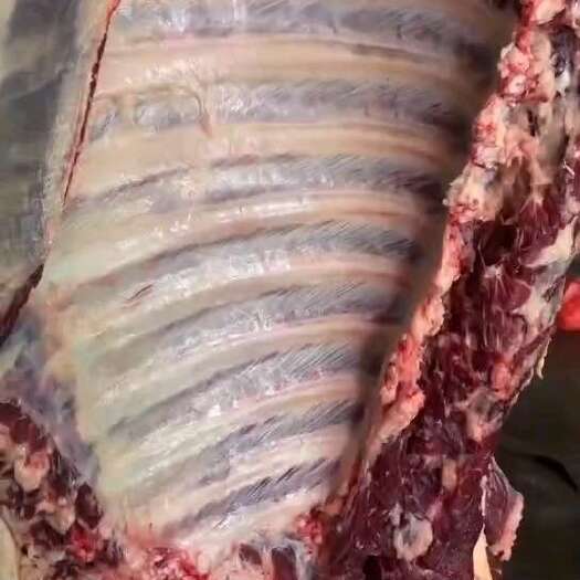 青县纯干无水好牛肉。
